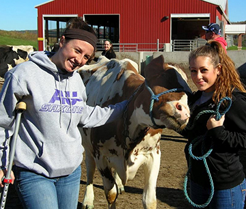 AU student on college farm with cow