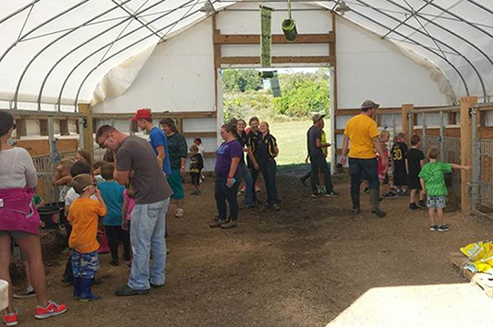 Area first- and second-graders tour the Alfred State Farm’s calf barn Sept. 17 during Kiddie Ag Day