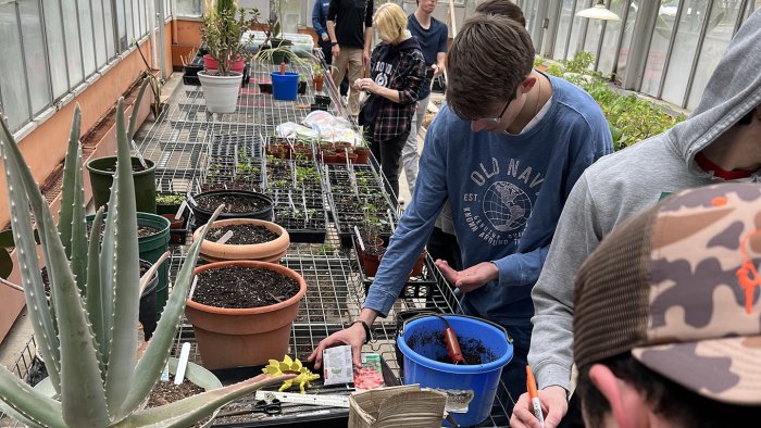 Alfred State students plant tomatoes in the greenhouse in a celebration of Earth Week.