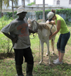 Students Erin Baum in Haiti