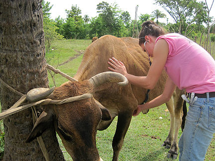 veterinary technology student in Haiti