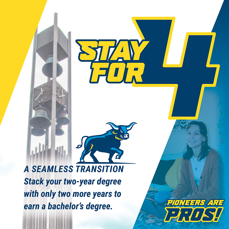 Stay for 4, image of an ox