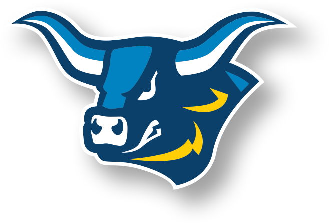 Ox Spirit logo