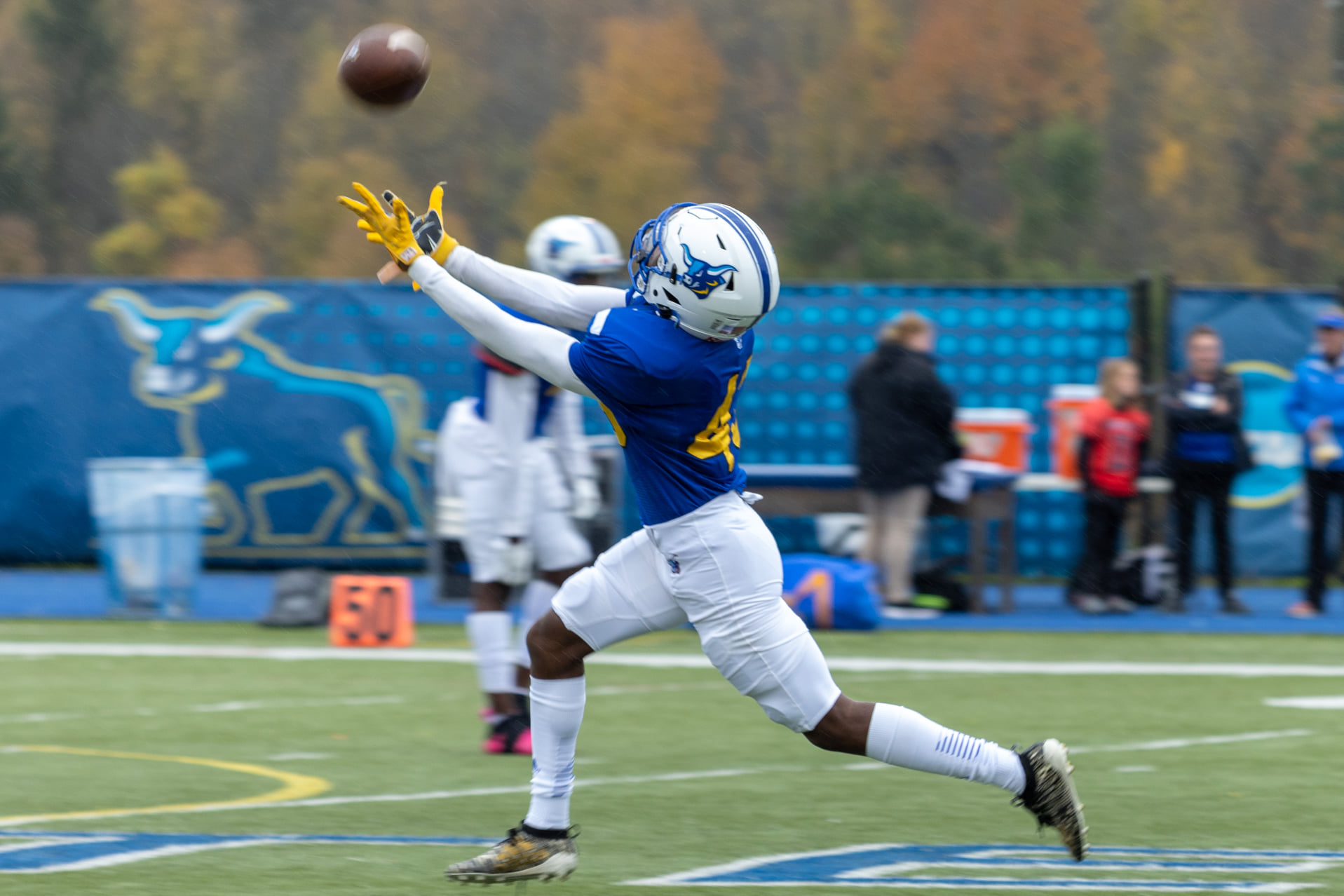 Photo of an Alfred State football player in action