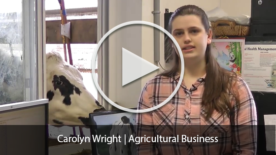 Carolyn Wright with play button to youtube video