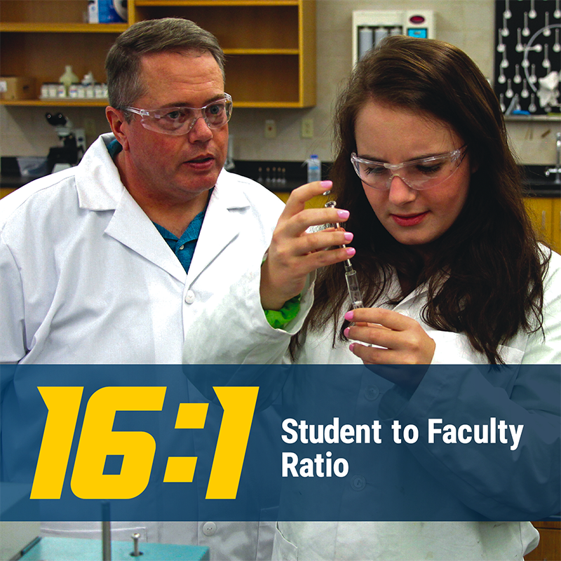 Student to faculty ratio 16:1, view inside a classroom