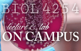 taught on campus BIOL 4254 lecture and lab