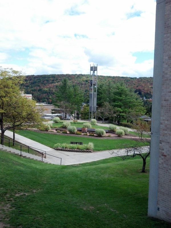 Alfred State Bell Tower, trees, grass, sidewalk