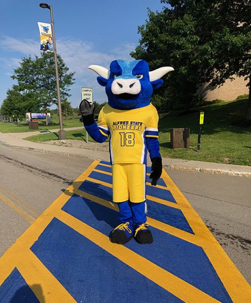 mascott in crosswalk