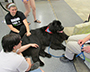 “Brody,” a Newfoundland dog with 2 students