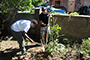 Avion Smith and Joseph Perez work to remove a bush near a church 