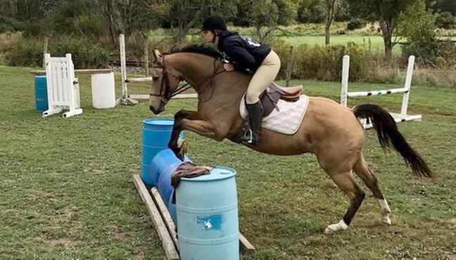 girl riding a horse