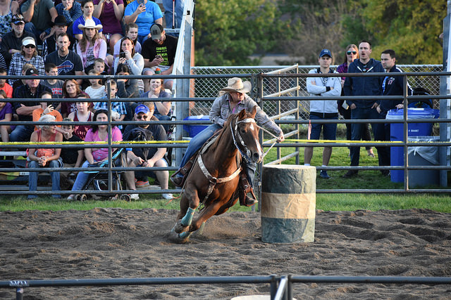 Horse and rider at rodeo.