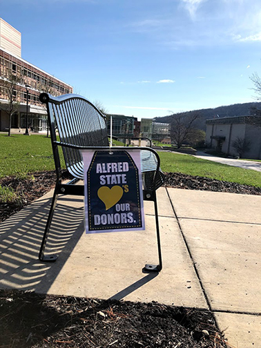 bench outside with a thank a donor tag on it