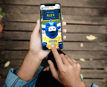 hands holding a mobile phone with Big Blue ox on the screen