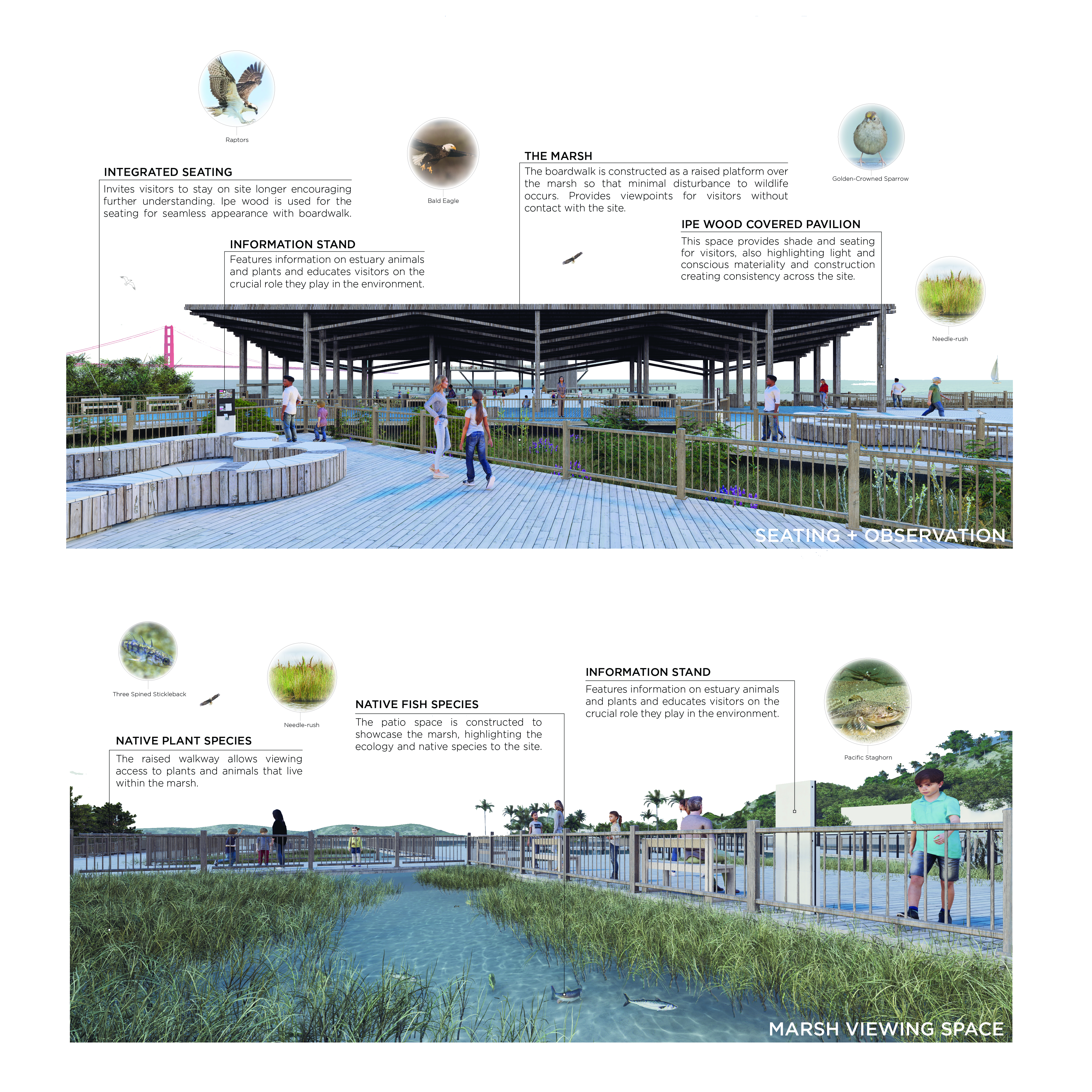 poster detailing thesis project