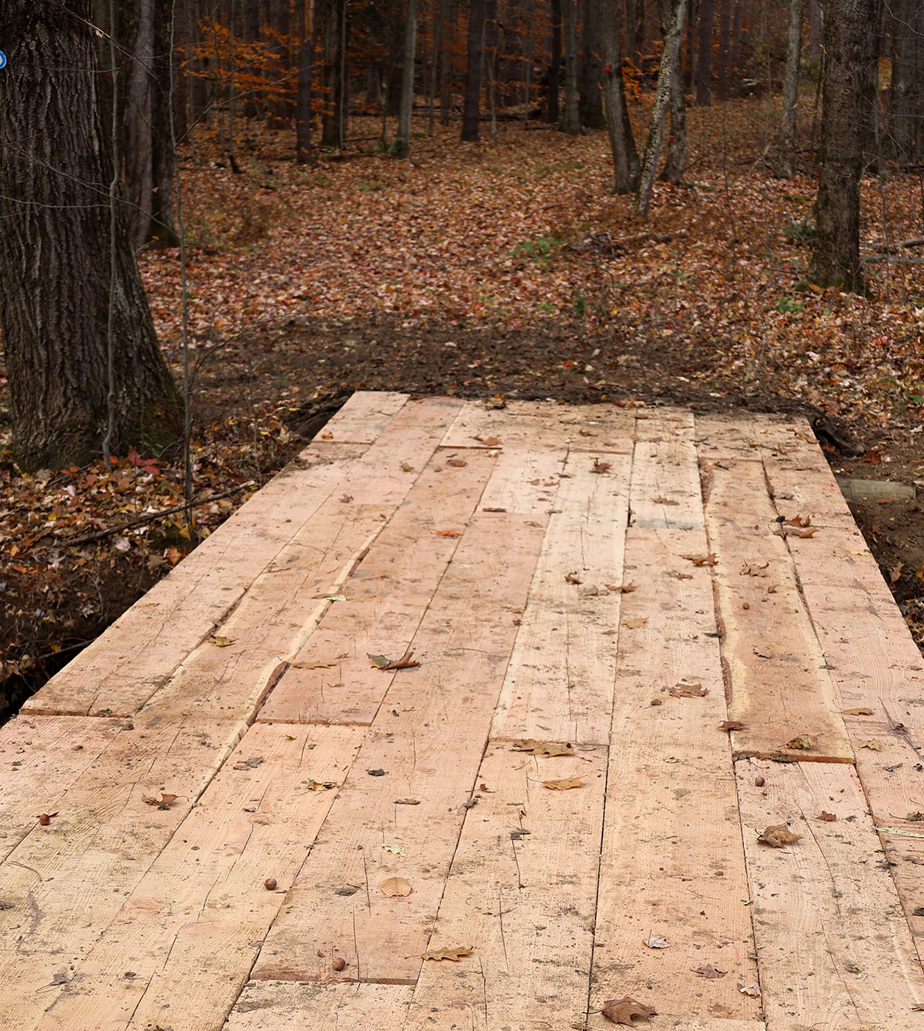 Bridge placed on Trail 2 before deck boards and handrails were installed.