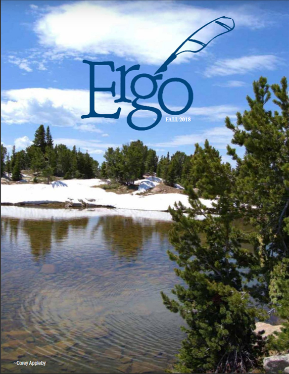 cover of fall 2018 ergo magazine, water scene 