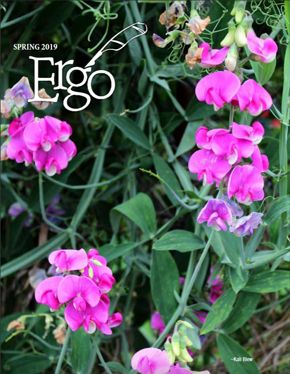 cover of spring 2019 ergo magazine, purple flowers scene