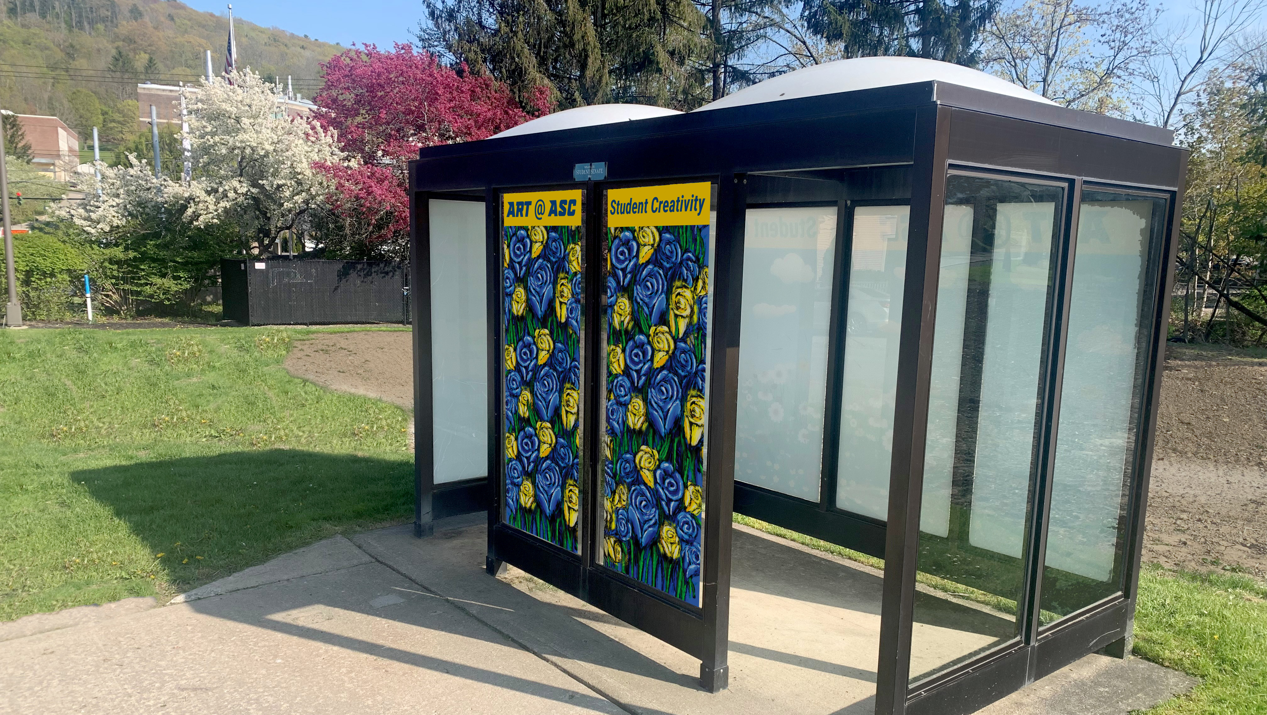 Blue and Gold Roses on Bus Shelter