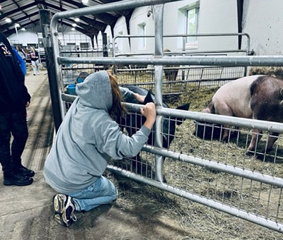 A visitor to the Veterinary, Agricultural, and Skilled Trades Career Discovery Event at Alfred State visits with the pigs.