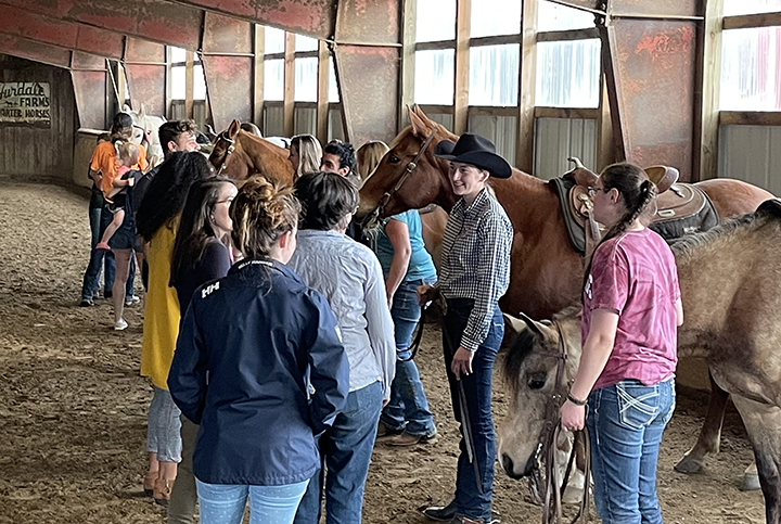 Guests interacting with horses and team members at the Western Equestrian open house.