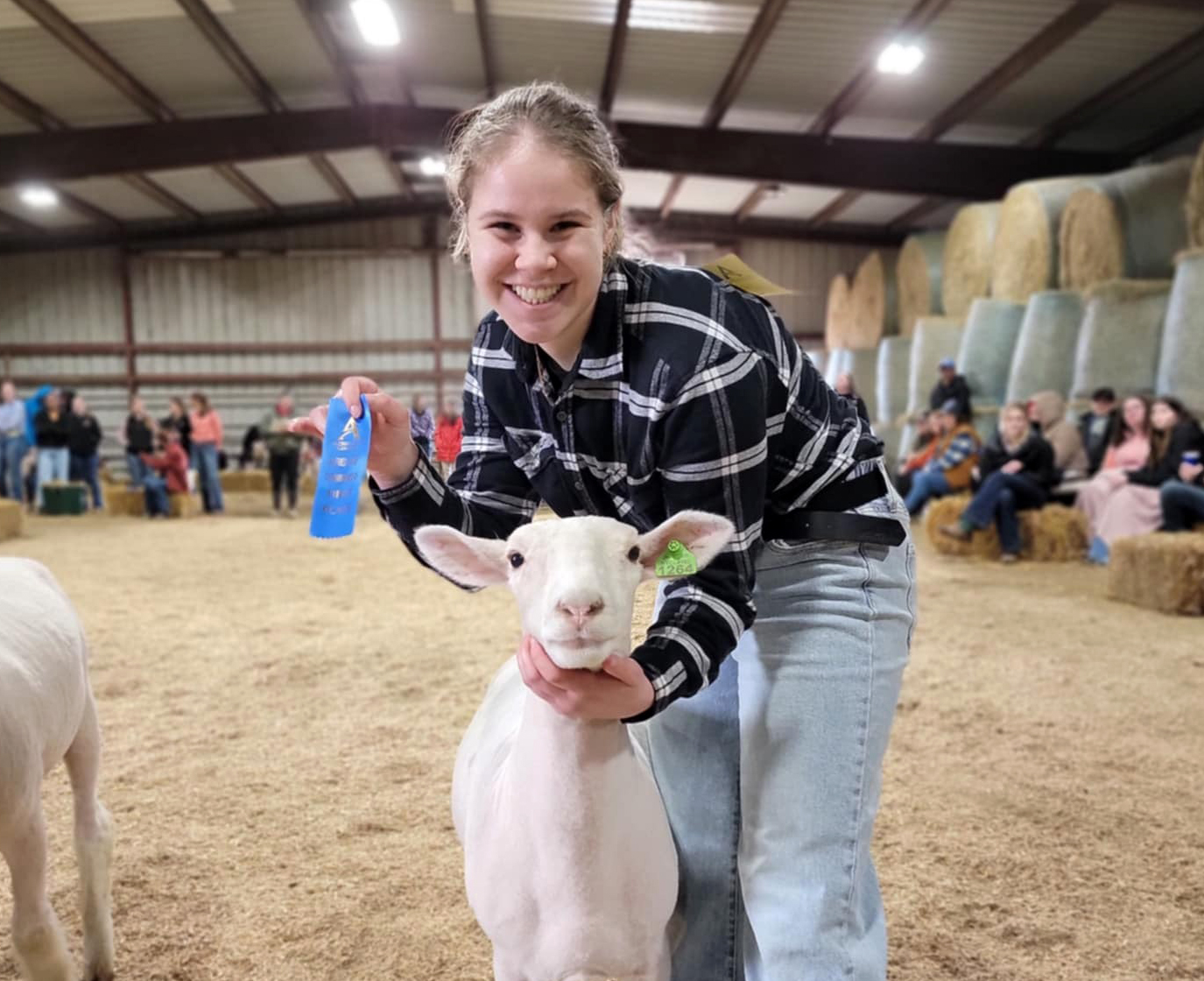 student shows off a sheep