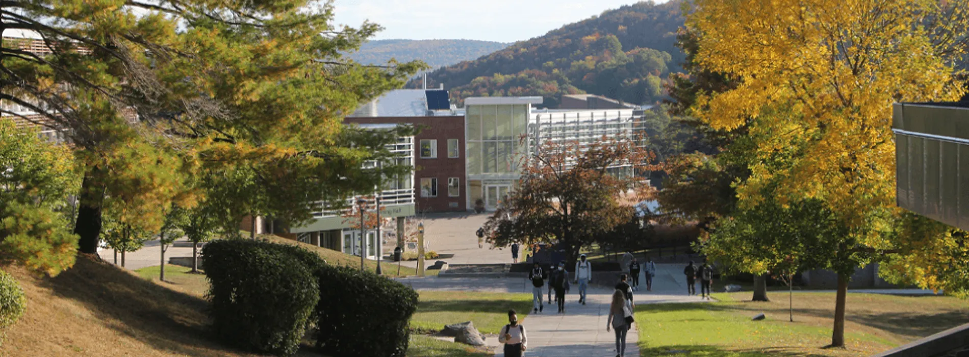 Image of campus from afar in foliage