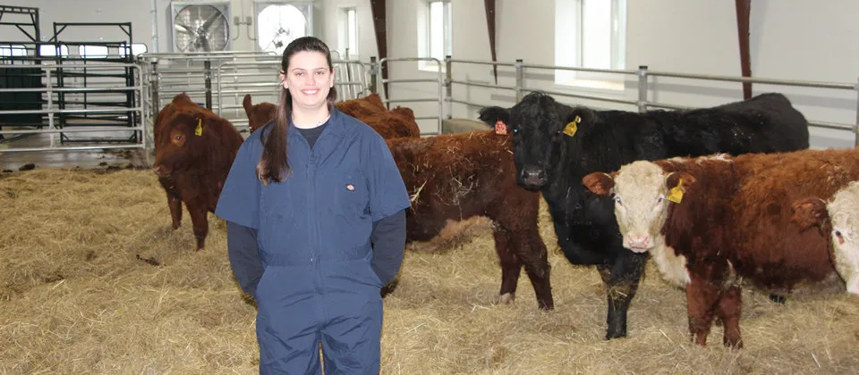 student standing in front of cattle in a barn