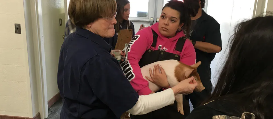 professor and student holding a pig