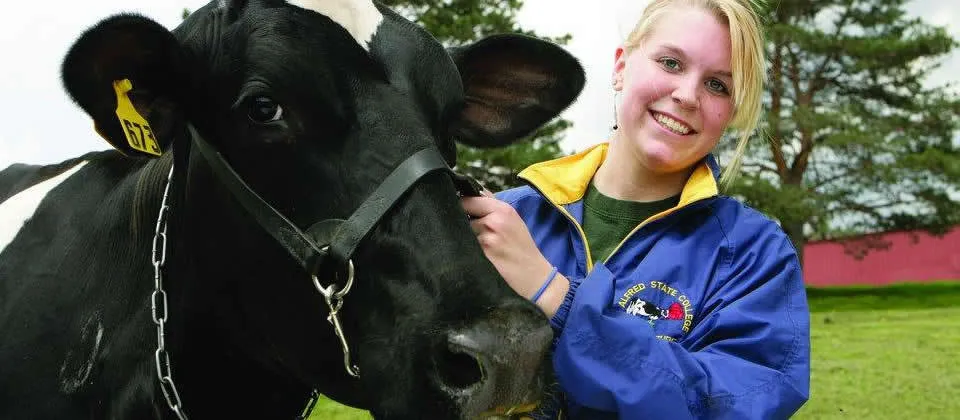 female student with a cow