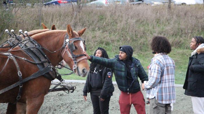 Student pets a horse at Fall Fest
