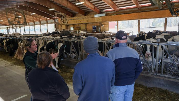 Student gives tour of Alfred State Farm