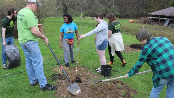 Students plant a tree in the Community Garden
