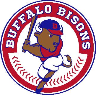 Buffalo Bison