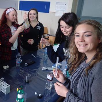 Students working around a table while examining test tubes.
