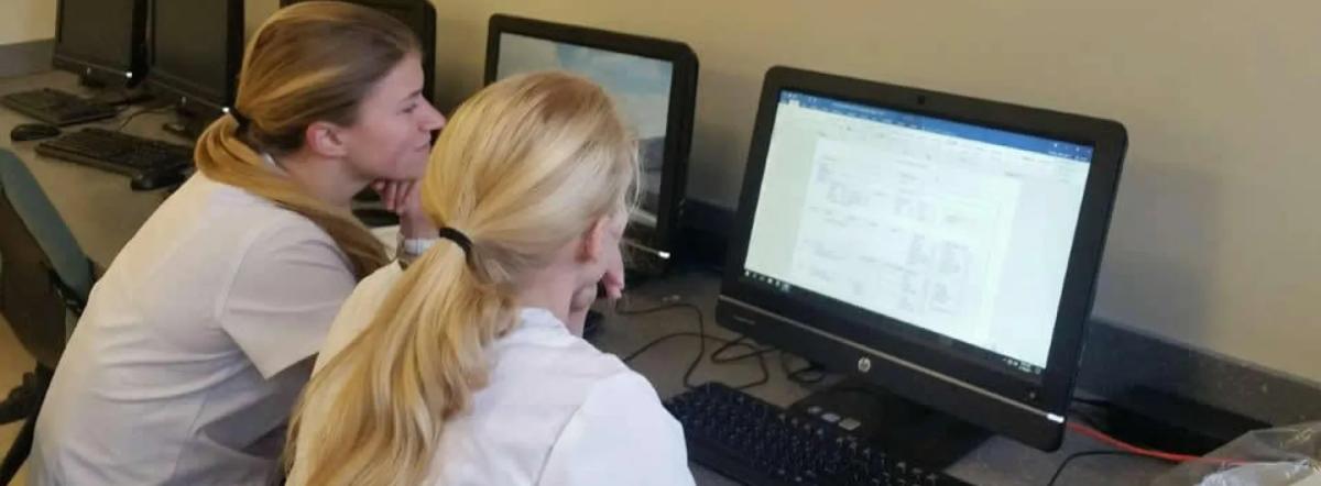 Healthcare management students working on computer together.