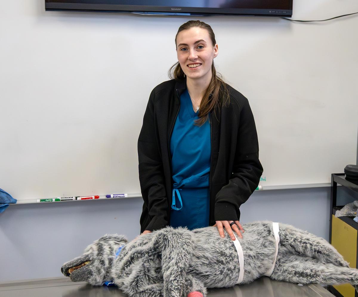 student stands in vet tech lab with manikin animal