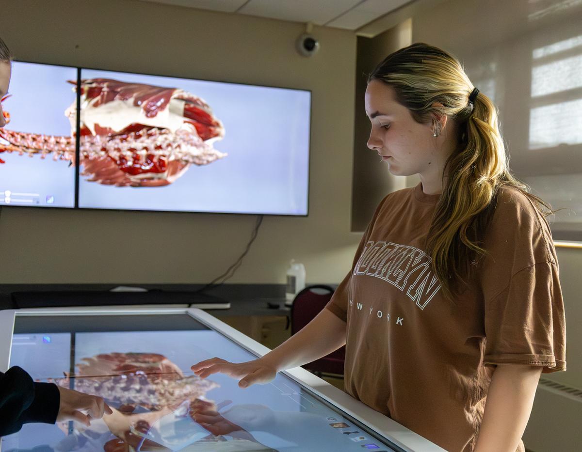 student works on the anatomage table