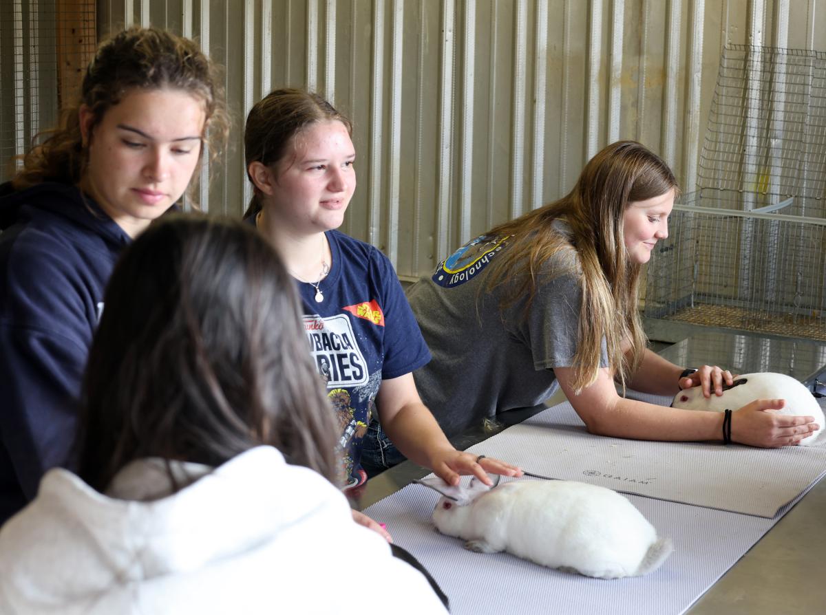 students show visitors baby bunnies