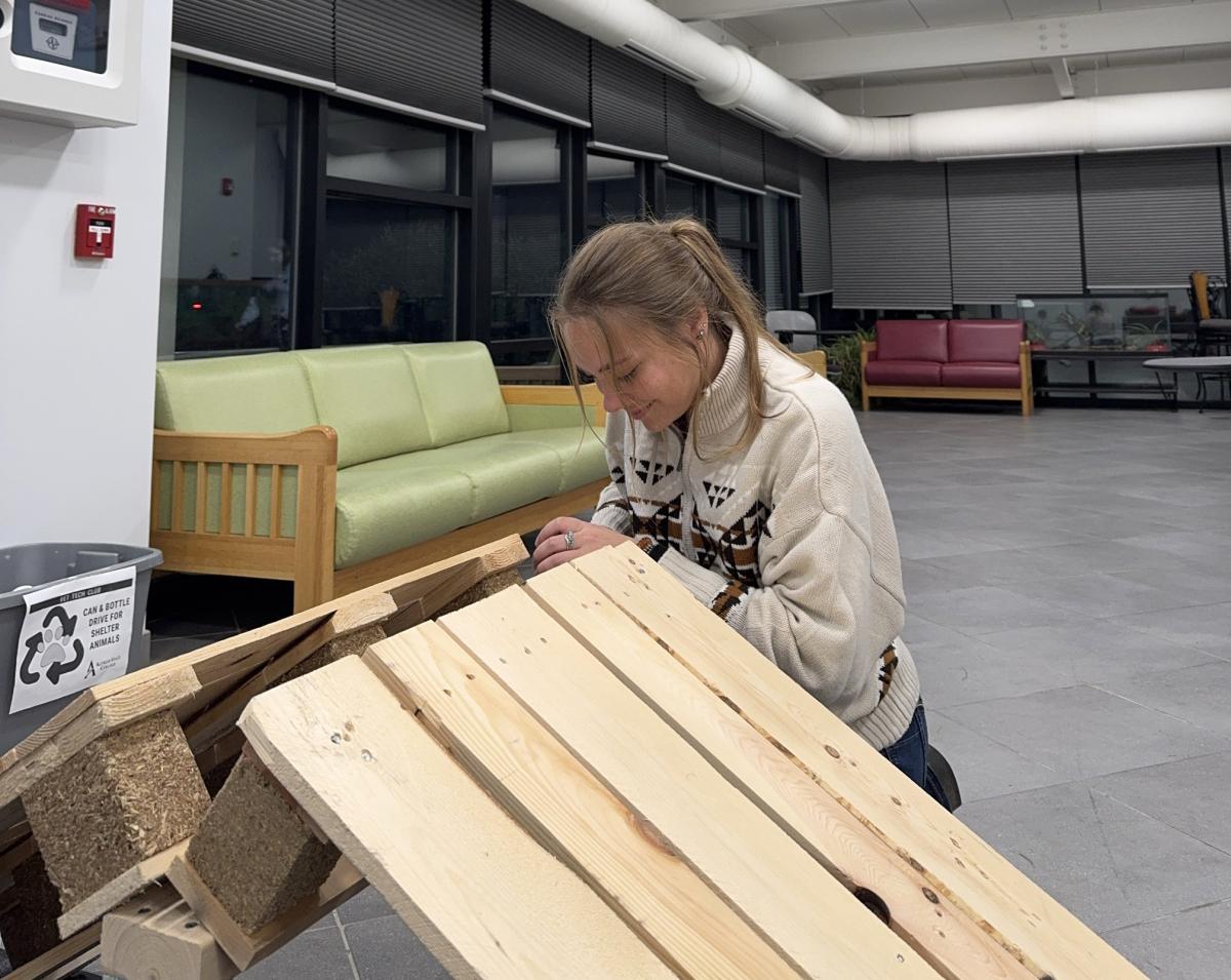 Jordan Henry works on a enrichment tool for the dogs