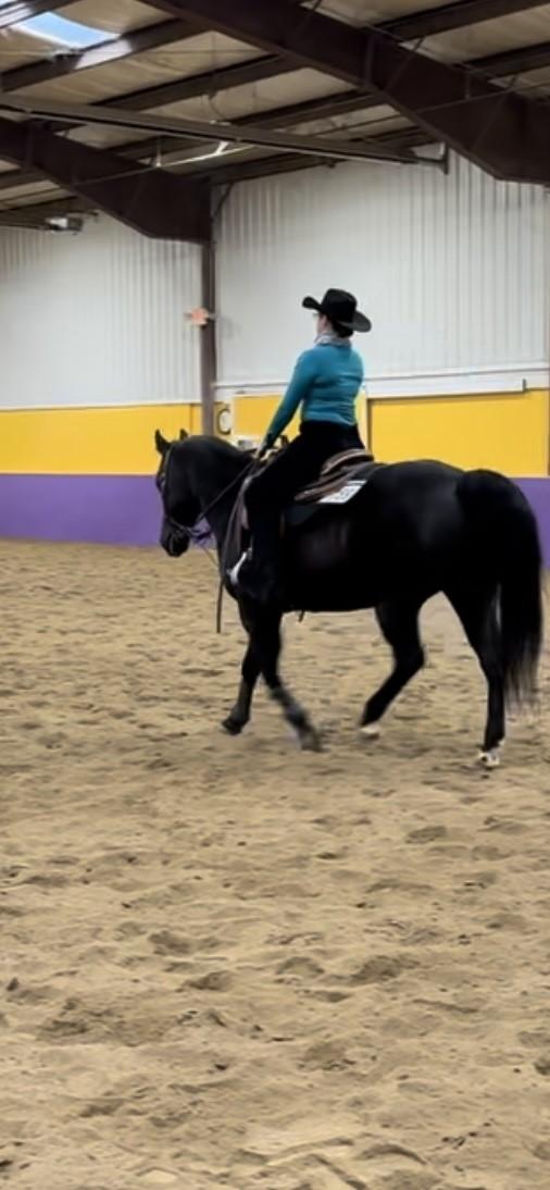 Ashley Herbert rides on her way to reserve Hi-Point rider honors during the morning show.