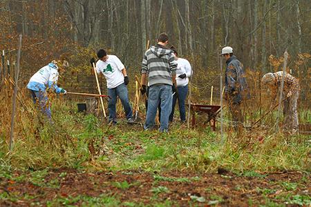 Alfred Community Garden to build garden shed
