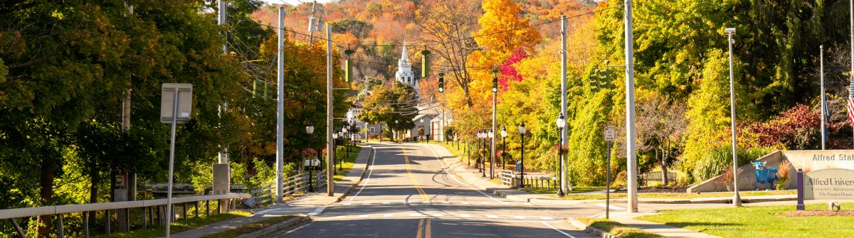 Traffic light in the Village of Alfred