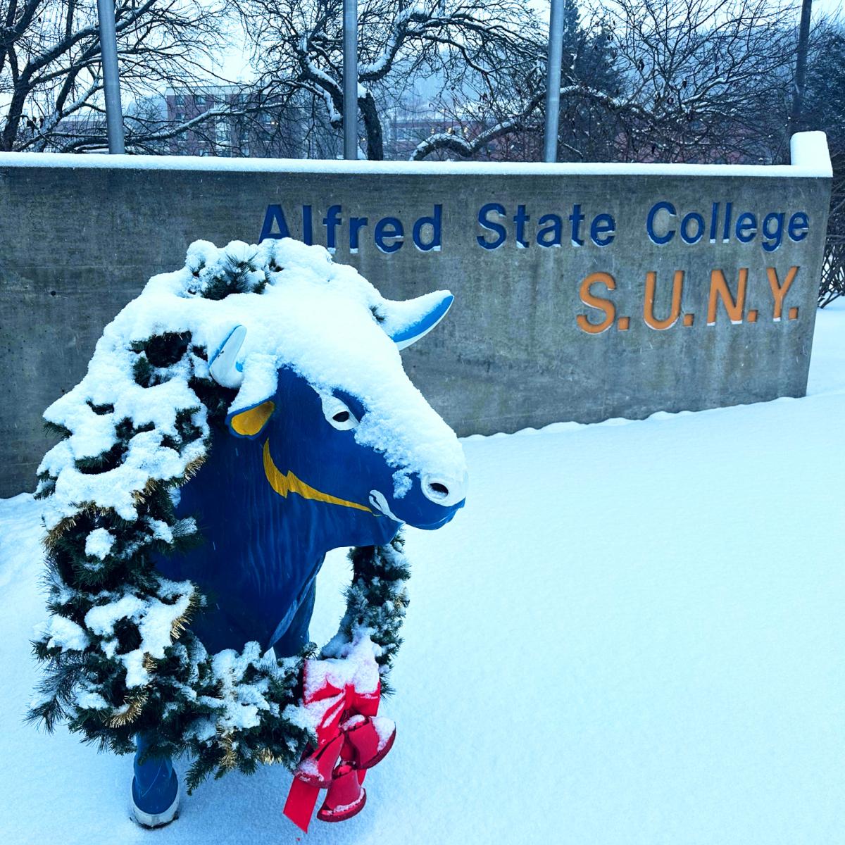 Wreath on Big Blue