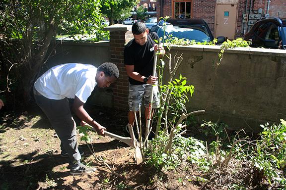 Community Action Day
