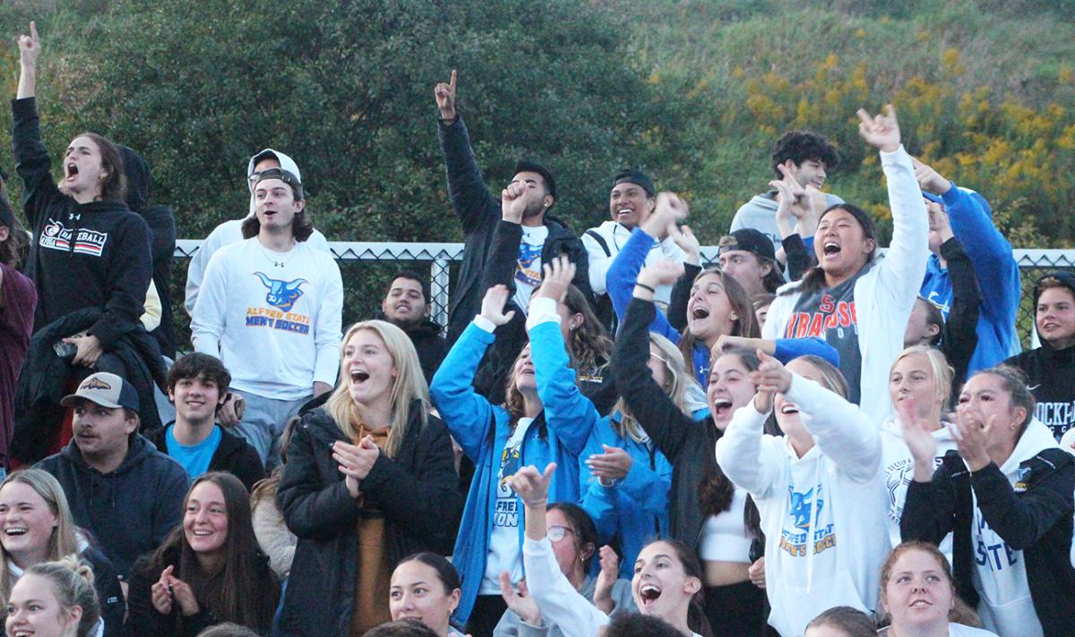 crowd cheering at an athletic event