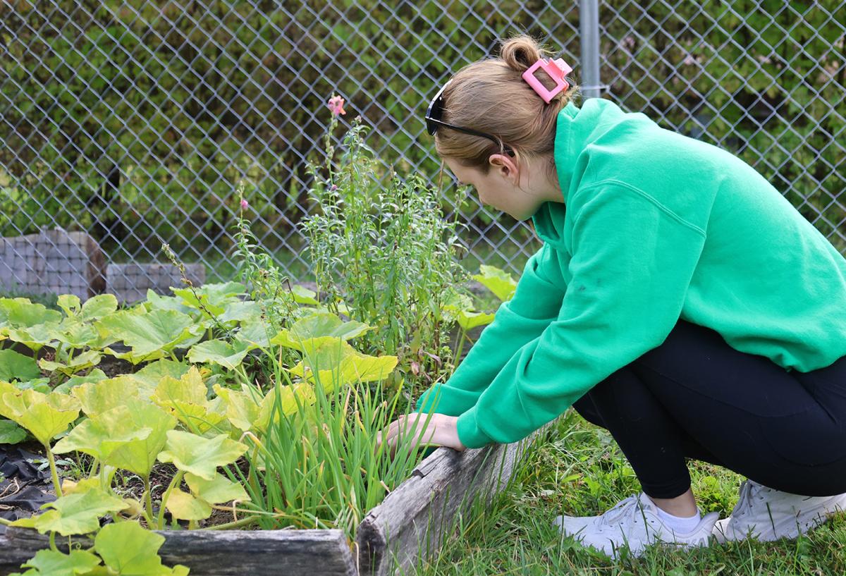 student working at the community garder