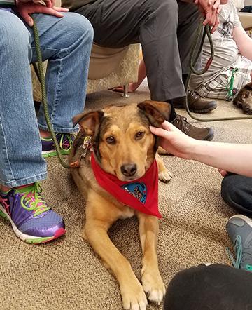 Dogs in the Library spring 2016