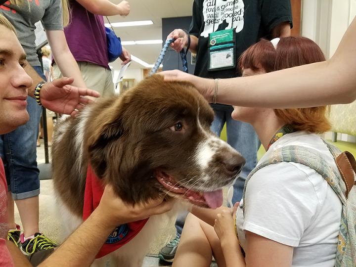 Harper-not-thumbnail